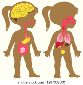Vector illustration for children. Flat cartoon style. Silhouette depicting the human digestive and respiratory system. Stomach, intestines, liver, nasopharynx, trachea, lungs