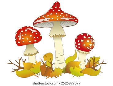 Vector illustration for children's books, colouring books or postcards. Colourful fly mushrooms with red caps among colourful autumn leaves on white background. Inedible mushrooms. 