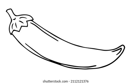 vector illustration with chile peper. logo, icon, design, sign, product symbol. vegetarian food.
