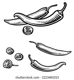 Vector illustration of a chili pepper in engraving style. Set of chili peppers isolated on a white background.