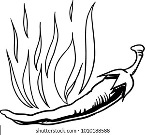 Vector illustration of chili pepper in fire