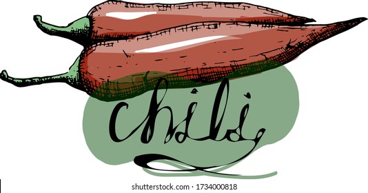 Vector illustration. chili pepper. freehand drawning.