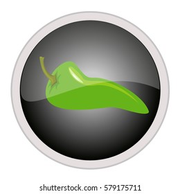 vector illustration of chili pepper icon