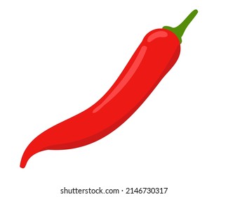 Vector illustration of a chili pepper. Whole vegetable. Suitable for any designs and decorations related to organic food, vegetarian, vegan and garden.