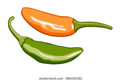 Vector illustration of chilies on white background