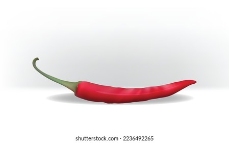vector illustration of chilies with white background