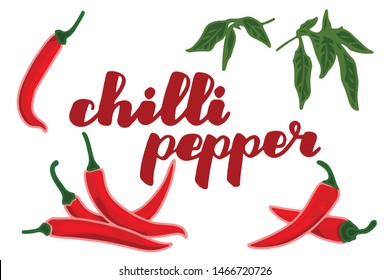 vector illustration of chilli pepper and leaf design isolated with lettering chilli pepper background white and vegetable EPS10