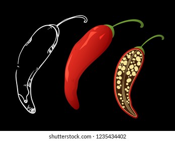 Vector illustration.Red chilli pepper whole, sliced and doodle isolated on black background.