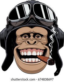 Vector illustration, a chimpanzees head in a pilot's helmet, smokes a cigar and smiles.
