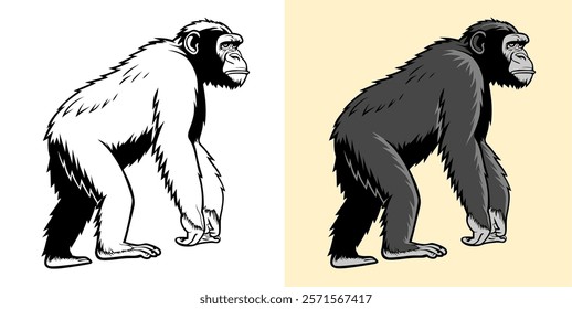 Vector illustration of chimpanzees in two styles: a black and white contour and a grayscale version, perfect for educational or creative projects.