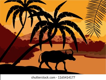 vector illustration of China with man with buffalo in jungle rainforest wetland