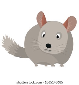 Vektorgrafik eines Chinchillas. Kinderillustration für ein Haustier. Grauer, süßer und flauschiger Chinchilla.