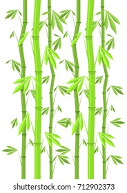 vector illustration Chinese bamboo isolated on white background
