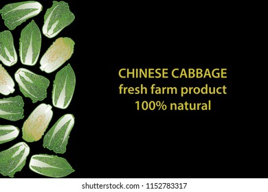 vector illustration of chinese cabbage design background black and vegetable and text fresh farm product 100% natural EPS10