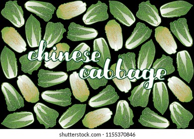 vector illustration of chinese cabbage and leaf design with lettering chinese cabbage background black and vegetable EPS10