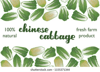 vector illustration of chinese cabbage and leaf design with lettering chinese cabbage background white and vegetable and text fresh farm product 100% natural EPS10