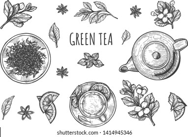Vector illustration of Chinese green tea set. Mint, jasmine flowers, lemon, cup, and teapot. Serving teatime ritual ceremony. Vintage hand drawn style.