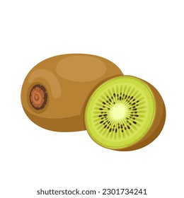 Vector illustration, Chinese Kiwi or Gooseberry, scientific name Actinidia deliciosa, isolated on white background.