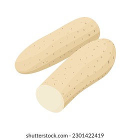 Vector illustration of Chinese yam.
