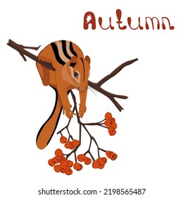 Vector illustration of a chipmunk on a rowan branch. Isolated image in the autumn theme. The inscription "Autumn".