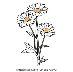 Vector Illustration of Chmomile is vintage flower, Ideal for Graphic Design