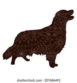 vector illustration of Chocolate Retriever