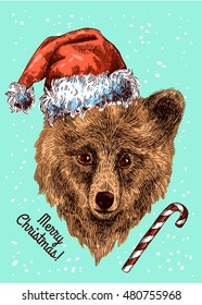 Vector illustration  Christmas bear. Drawing by hand. Sketch style. Use for posters, postcards, new year design.