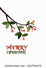 Vector illustration christmas card, holly tree branches with green leaves and red berries.