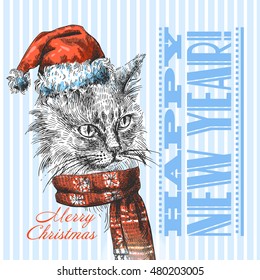 Vector illustration  Christmas cat. Drawing by hand. Sketch style. Use for posters, postcards, new year design.