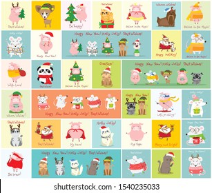 Vector illustration of christmas cats, rats, pigs and dogs with Christmas and new year greetings. Cute pets with holiday hats