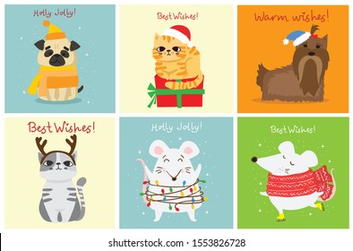 Vector illustration of christmas cats, rats, pigs and dogs with Christmas and new year greetings. Cute pets with holiday hats