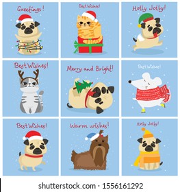 Vector illustration of christmas cats, rats, pigs and dogs with Christmas and new year greetings. Cute pets with holiday hats 