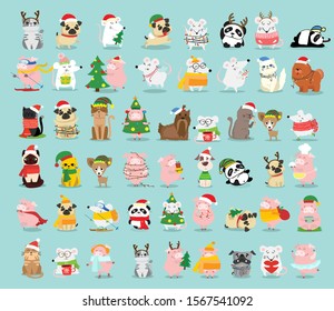 Vector illustration of Christmas cats, rats, pigs and dogs with Christmas and new year greetings. Cute pets with holiday hats