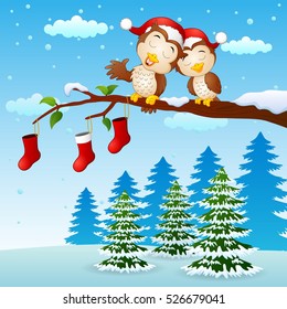 Vector illustration of Christmas couple owls on the tree branch with socks in winter