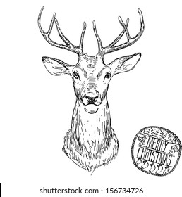 Vector illustration of Christmas deer hand drawn isolated