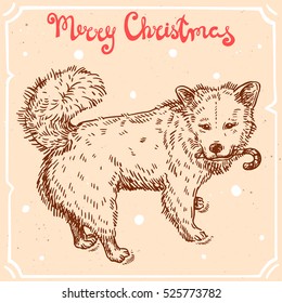 Vector illustration of christmas dog with candy cane,text Merry Christmas on the background with abstract paper texture,retro frame.Christmas puppy sketch.Linear art in vintage style for your design.