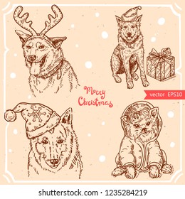 Vector illustration of christmas dog with gift box, text Merry Christmas on background with abstract paper texture.Puppy in costume with hood sketch.Linear art in vintage style for your design.