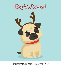 Vector illustration of christmas dog and Christmas and New year greetings. Cute cat with holiday hat