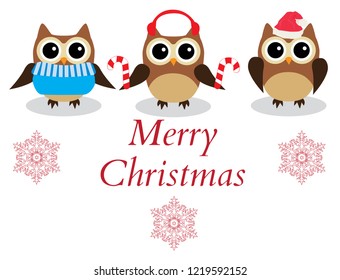 vector illustration of Christmas fun owls. Merry Christmas background.