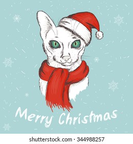 vector illustration of christmas green eyed cat. It is wearing a red christmas hat and a scarf