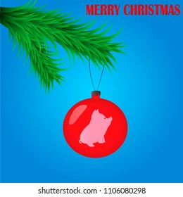 vector illustration of Christmas pig holiday