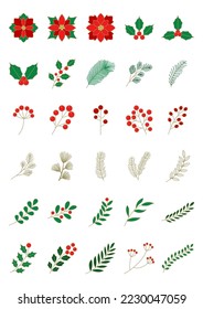 Vektorgrafik von Weihnachtspflanzen.