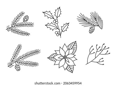 Vector illustration Christmas set with line botanical cliparts. Hand drawn pine and fir branches with cones. Tree branch with berries and flower isolated on white background. 