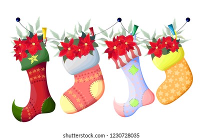 Vector illustration. Christmas socks on clothespins on a rope. Socks with a bouquet of Christmas poinsettia. All elements are isolated.