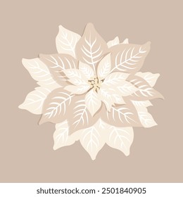 Vector illustration of a Christmas star poinsettia in monochrome beige flowers on an isolated beige background