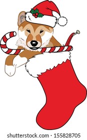 A vector illustration of a  Christmas stocking stuffed with a cute puppy wearing a Santa hat and holding a red and white candy cane. 