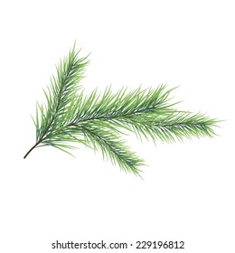 Vector illustration of christmas tree branch
