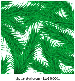 vector illustration, christmas tree, tree branches,