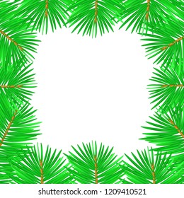 Vector illustration of christmas tree branches for text