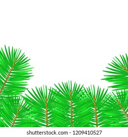 Vector illustration of christmas tree branches on white background